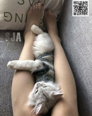 欧美悠悠_BD英语日韩电影在线